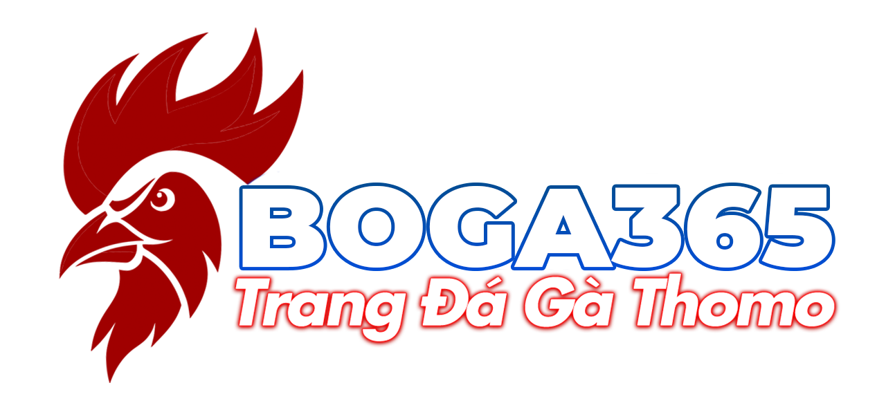 BOGA365.VIP